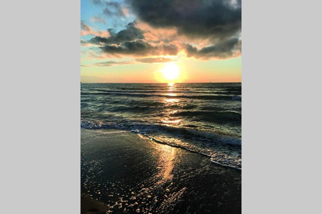 Ostsee-Ferienwohnung Uhlnuest Graal-Mueritz Gelbensande المظهر الخارجي الصورة