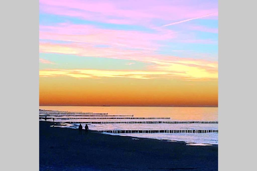 Ostsee-Ferienwohnung Uhlnuest Graal-Mueritz Gelbensande المظهر الخارجي الصورة