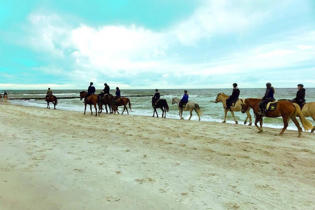 Ostsee-Ferienwohnung Uhlnuest Graal-Mueritz Gelbensande المظهر الخارجي الصورة