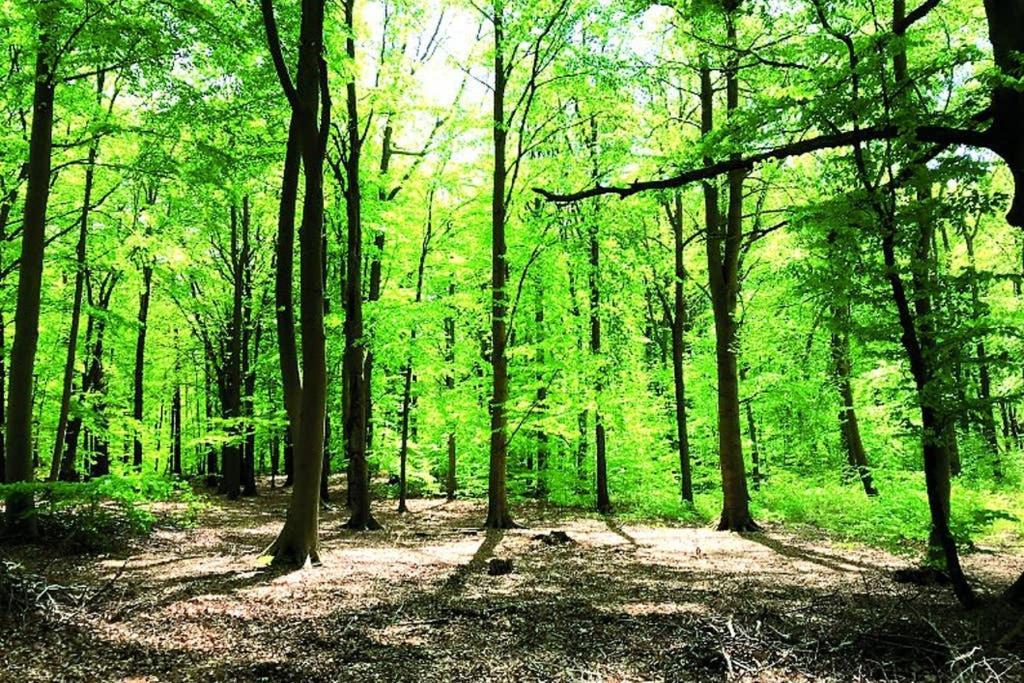 Ostsee-Ferienwohnung Uhlnuest Graal-Mueritz Gelbensande المظهر الخارجي الصورة