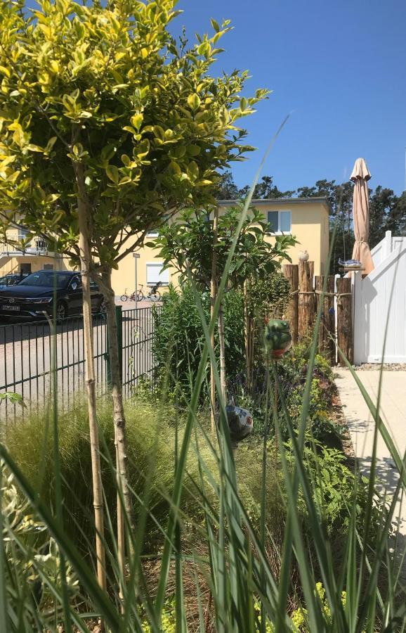 Ostsee-Ferienwohnung Uhlnuest Graal-Mueritz Gelbensande المظهر الخارجي الصورة
